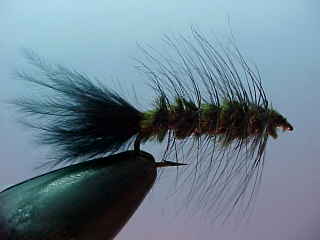 Woolly Bugger Olive